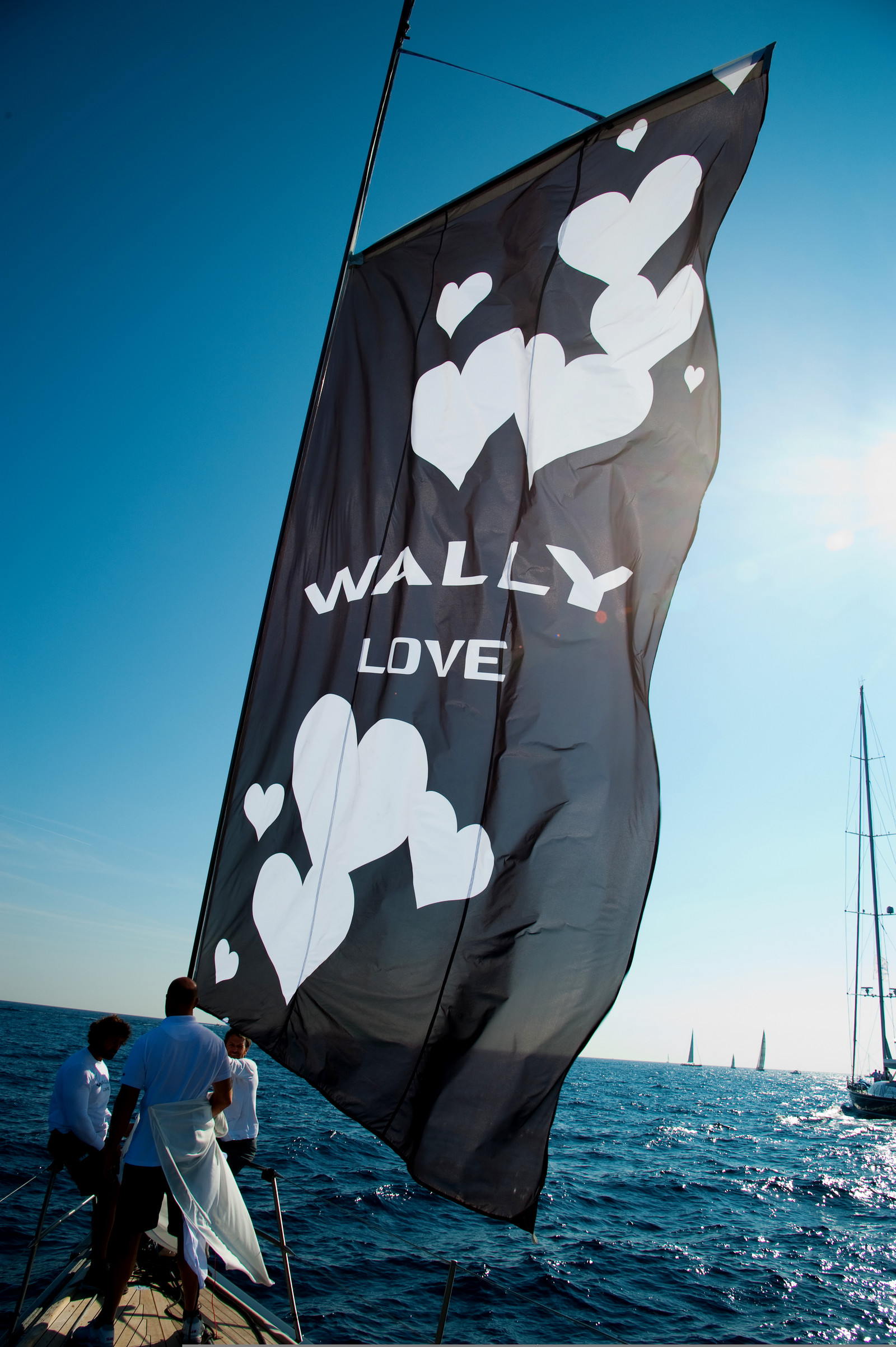 wally-11_st_0858.jpg