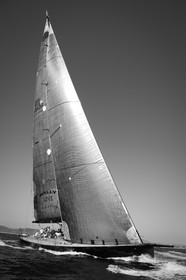 wally-11_st_0965bw.jpg